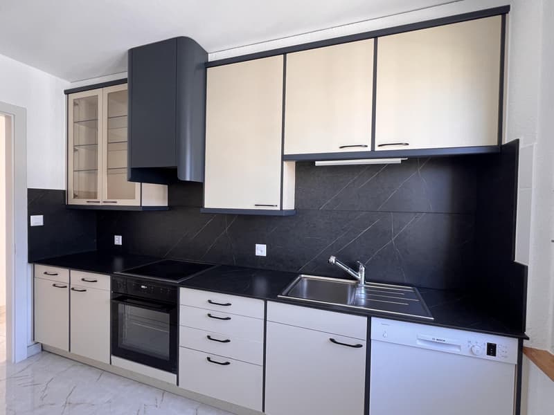 Appartement rénové avec magnifique vue sur le lac et les Alpes (7)