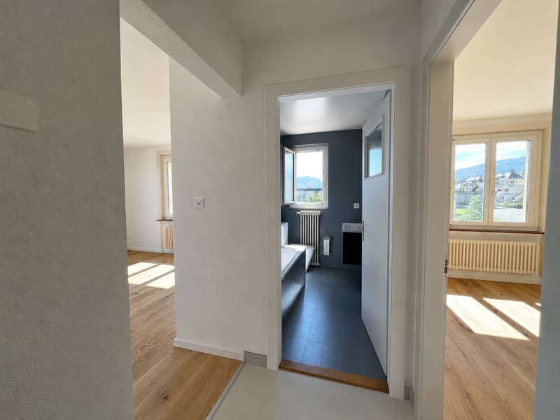 Appartement rénové avec magnifique vue sur le lac et les Alpes (5)