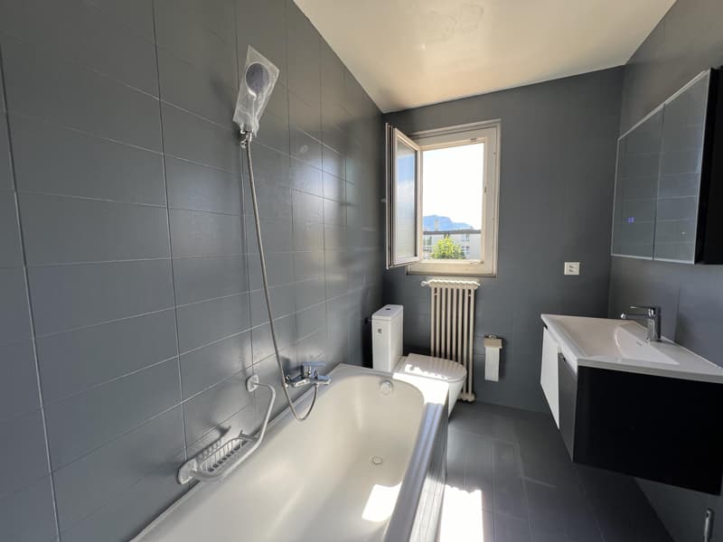 Appartement rénové avec magnifique vue sur le lac et les Alpes (6)