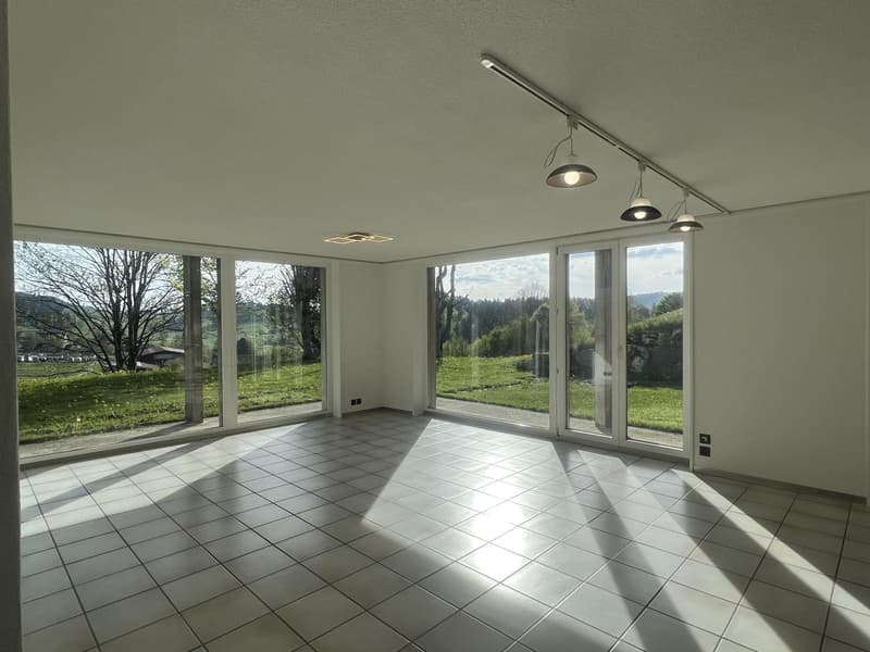 Belle villa terrasse contemporaine avec jardin orienté sud-ouest (2)