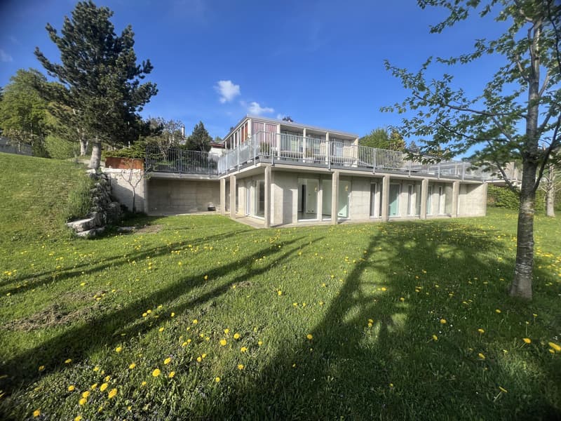 Belle villa terrasse contemporaine avec jardin orienté sud-ouest (3)