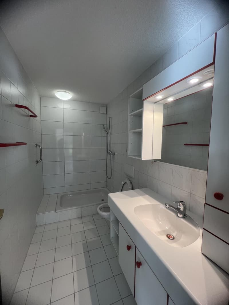Belle villa terrasse contemporaine avec jardin orienté sud-ouest (10)