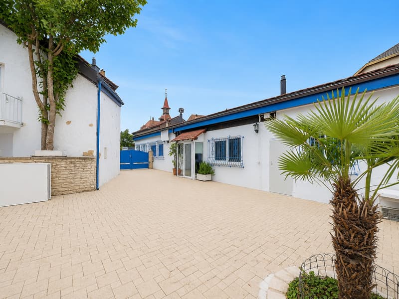 Charmante maison villageoise de deux appartements au coeur de Marin (1)