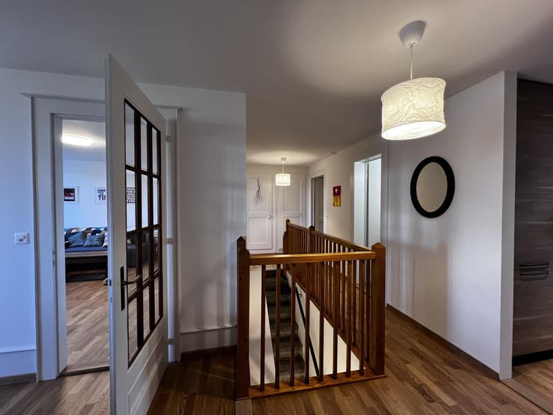 Charmant et spacieux appartement rénové avec terrasse (3)