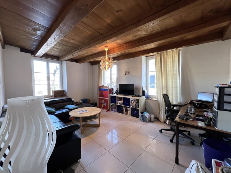 Conjuguer habitation, activité libérale ou investissement à deux pas du lac (12)