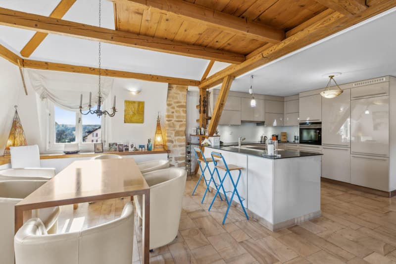 Conjuguer habitation, activité libérale ou investissement à deux pas du lac (3)
