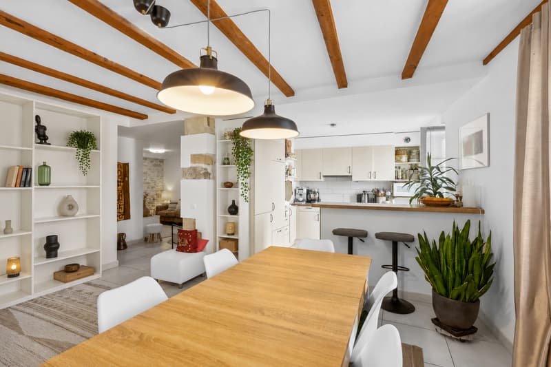 Conjuguer habitation, activité libérale ou investissement à deux pas du lac (6)