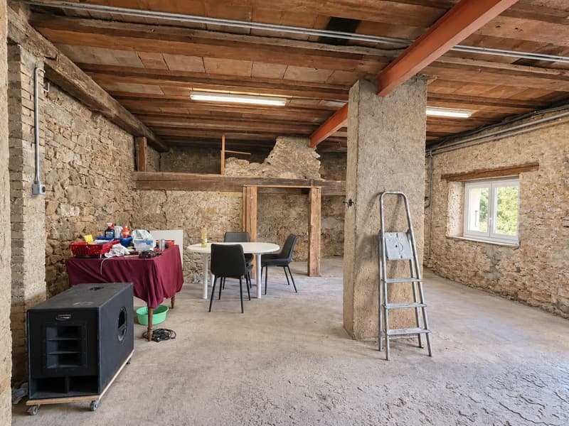 Maison villageoise avec vue: un beau potentiel à réléver (11)