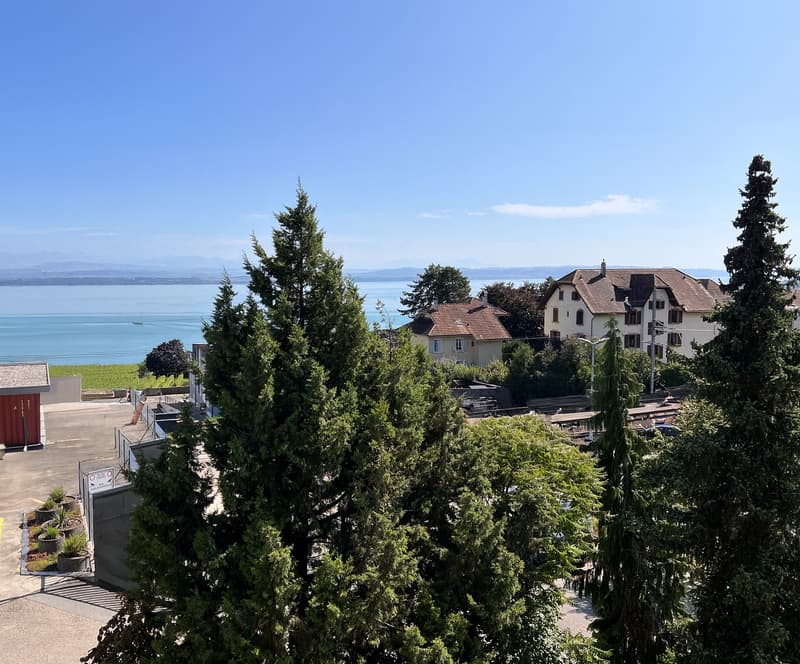 Appartement entièrement rénové avec vue sur le lac et les Alpes (6)