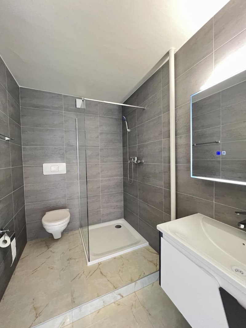 Appartement entièrement rénové avec vue sur le lac et les Alpes (3)