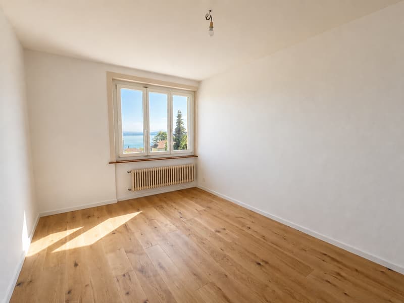 Appartement entièrement rénové avec vue sur le lac et les Alpes (2)