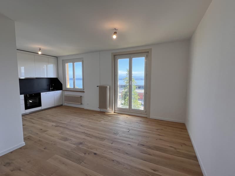 Appartement entièrement rénové avec vue sur le lac et les Alpes (4)