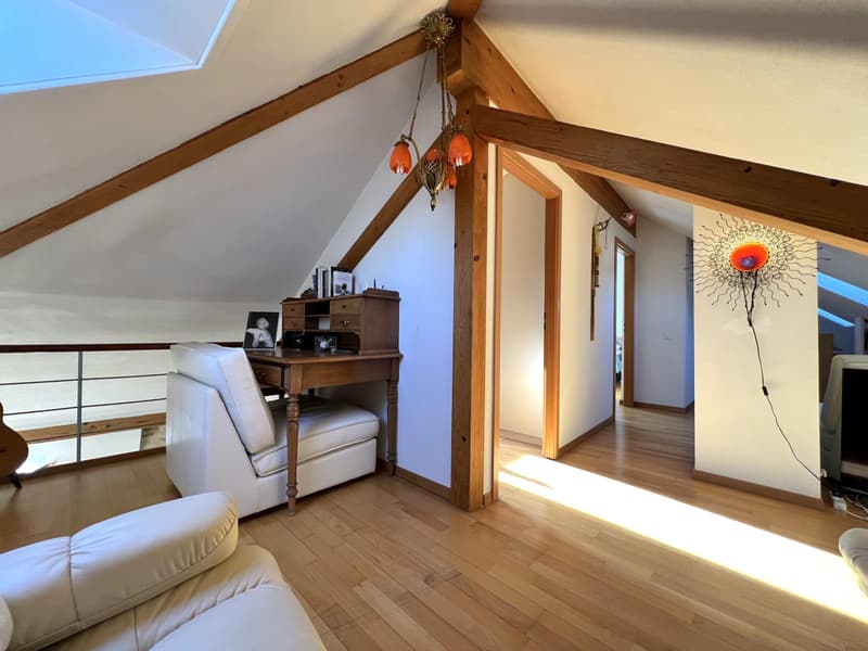 Magnifique appartement attique duplex (9)