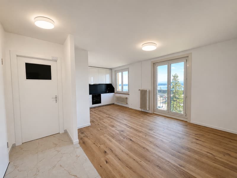 Lumineux appartement avec vue sur lac et les Alpes (2)