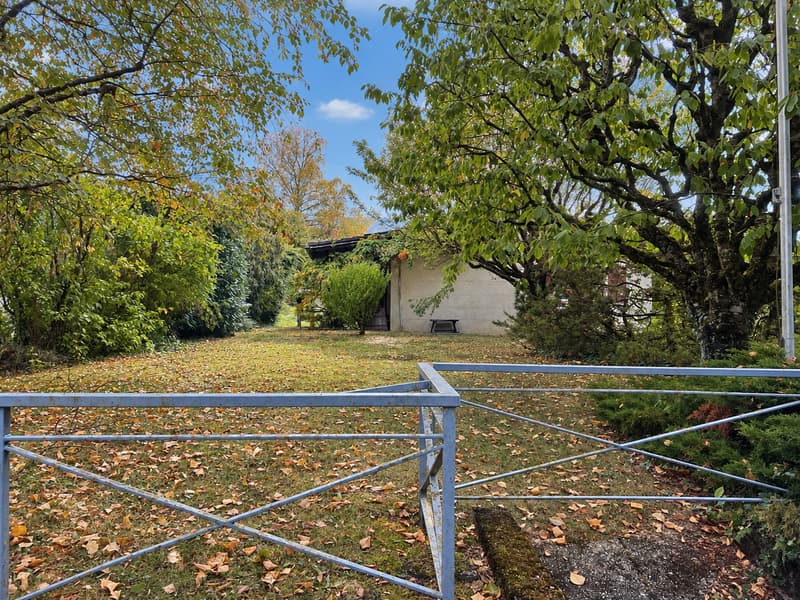 Charmante maison individuelle avec grand jardin dans un environnement verdoyant à Boudry (3)