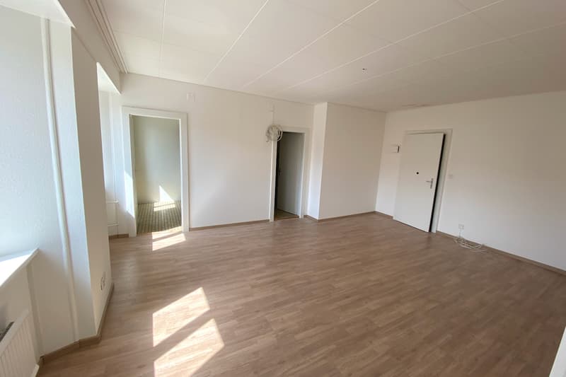 empty hallway with wooden flooring, two doors and a white wall