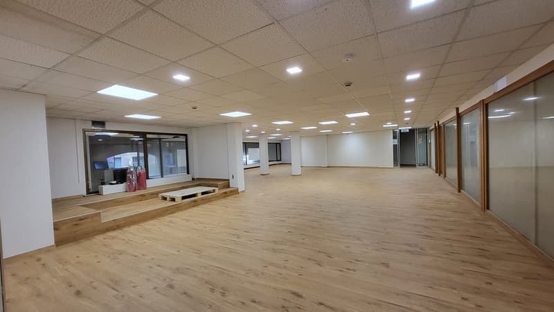 Large open space, parquet floor, glass walls, white walls, ceiling with lights, window with glass curtain