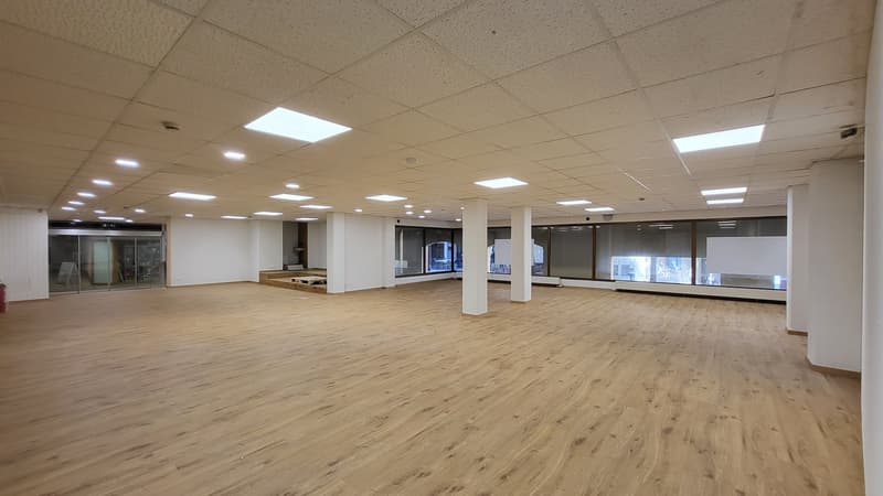 spacious empty room, wooden floor, white walls, big windows, glass entrance, ceiling light