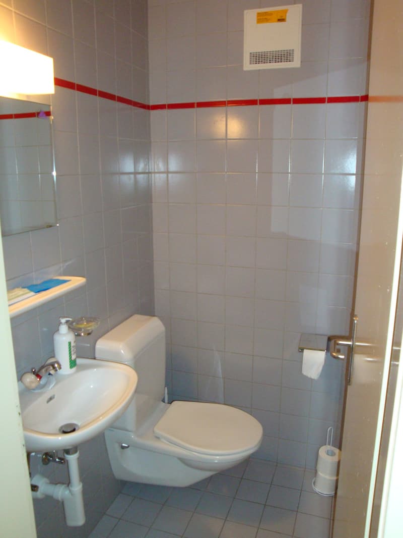small bathroom with toilet, sink, mirror, and toilet paper holder