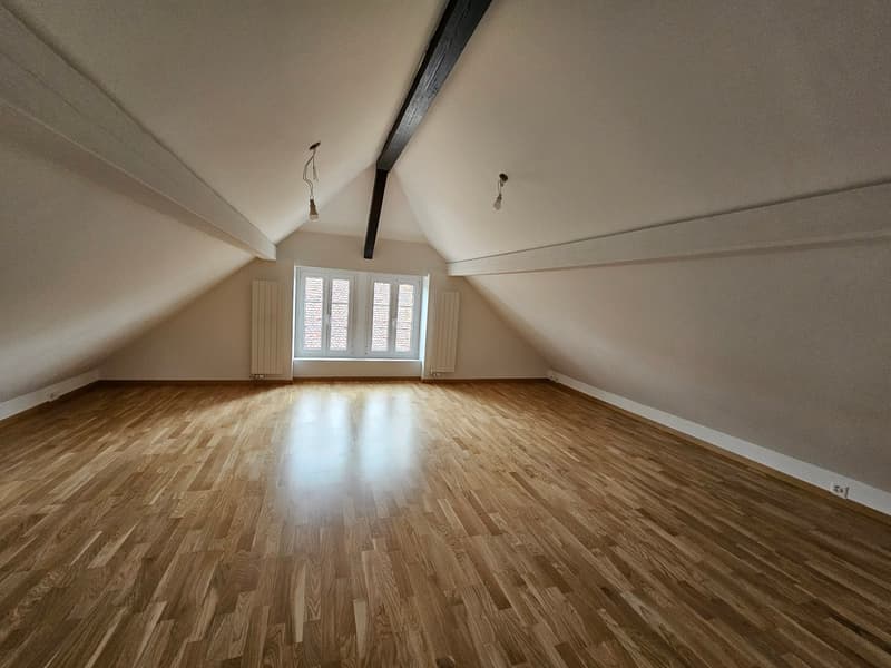 empty room, wooden floor, skylights, radiators, light fixtures