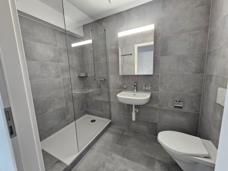 Modern gray tiled bathroom with walk-in shower, toilet, sink, and a mirror. Features include wall-mounted lighting, a towel rack, and faucet.