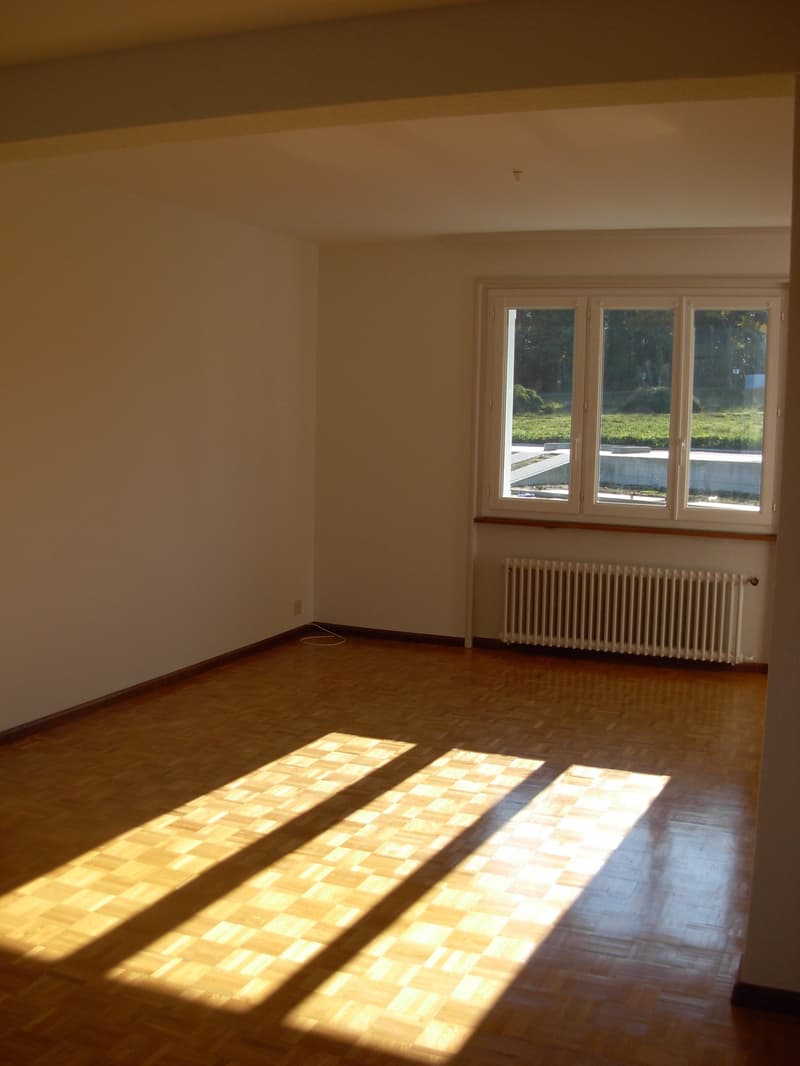 Empty room with wooden floor, white walls, large window, and a white radiator