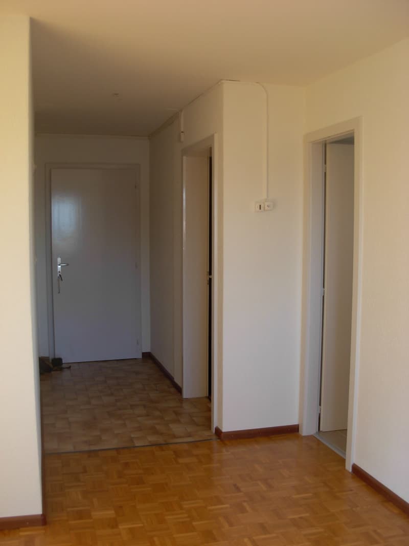 Empty hallway with wooden floor, white walls, two doors, power outlet