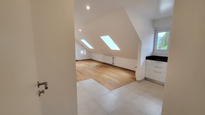 empty room, wooden floor, white walls, white ceiling, white tiles, white cabinets, windows, skylights