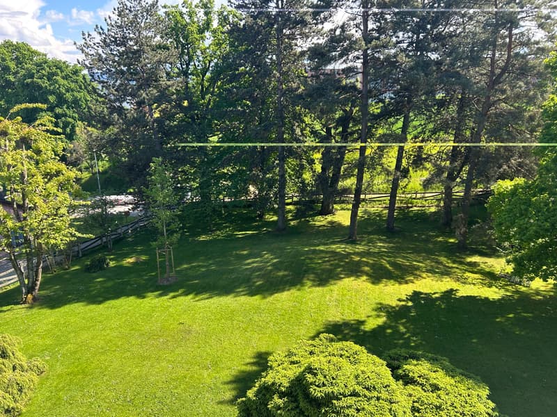 Magnifique parc arborisé