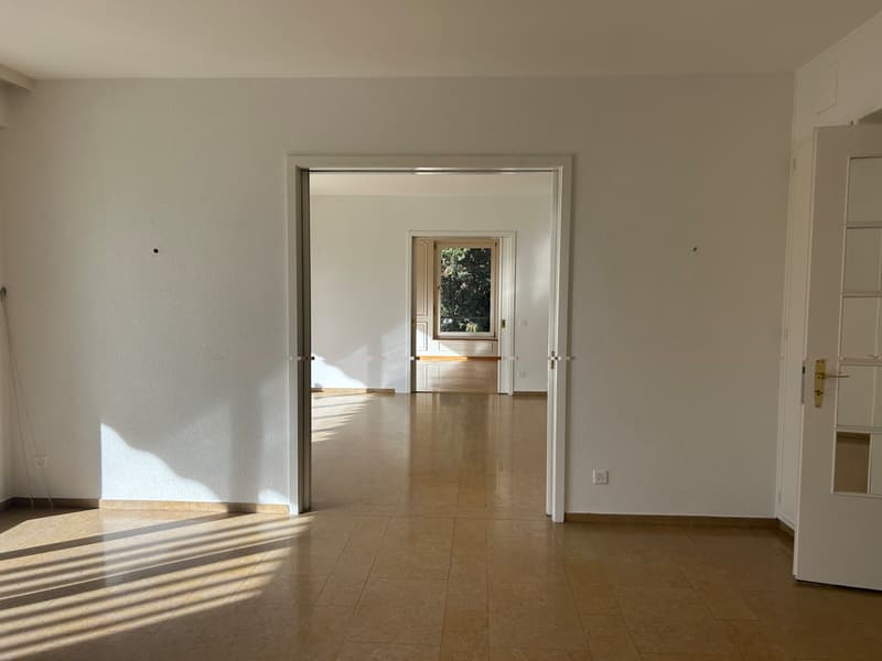 FRIBOURG - FORT-ST-JACQUES 29 - 10.5 PIECES EN DUPLEX (4)