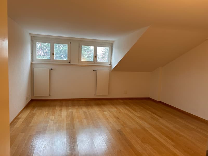 FRIBOURG - FORT-ST-JACQUES 29 - 10.5 PIECES EN DUPLEX (9)