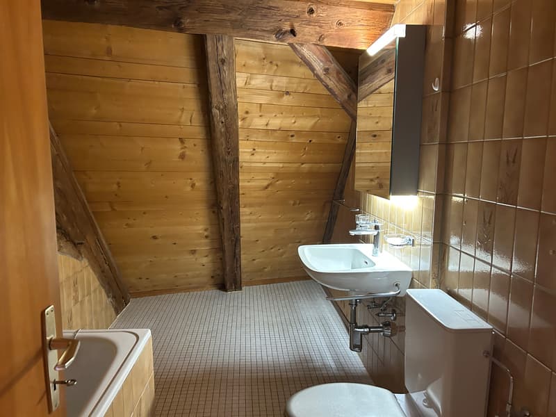 FRIBOURG - PLACE DU PETIT-ST-JEAN 39 - CHARMANT APPARTEMENT - 4.5 (11)