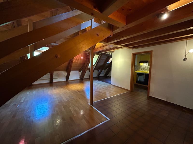 FRIBOURG - PLACE DU PETIT-ST-JEAN 39 - CHARMANT APPARTEMENT - 4.5 (2)