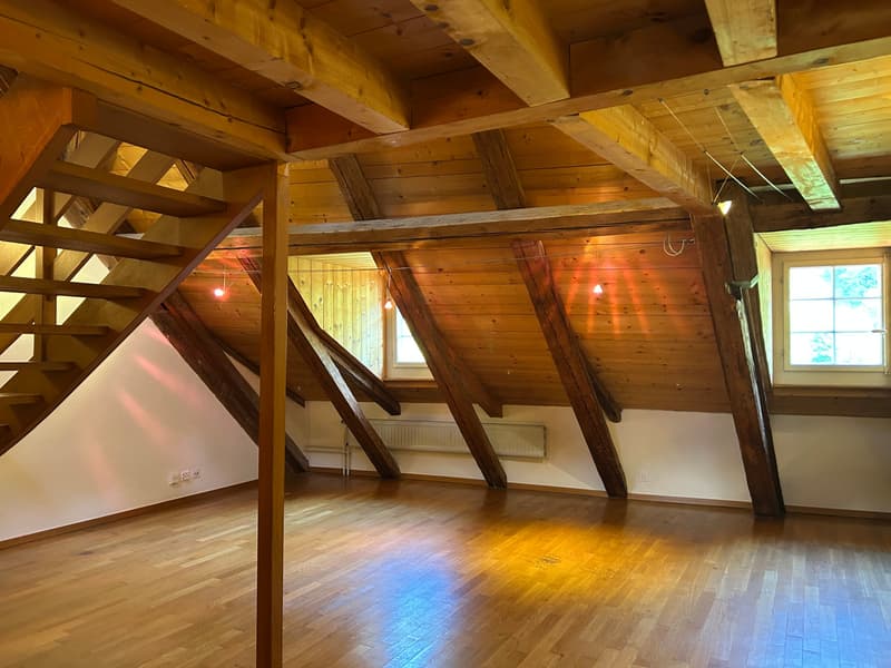 FRIBOURG - PLACE DU PETIT-ST-JEAN 39 - CHARMANT APPARTEMENT - 4.5 (4)