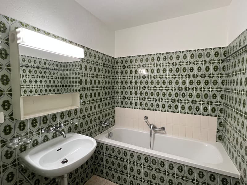 FRIBOURG - IMP. DE LA FORET 24 - 2.5 PIECES 1ER ETAGE (10)