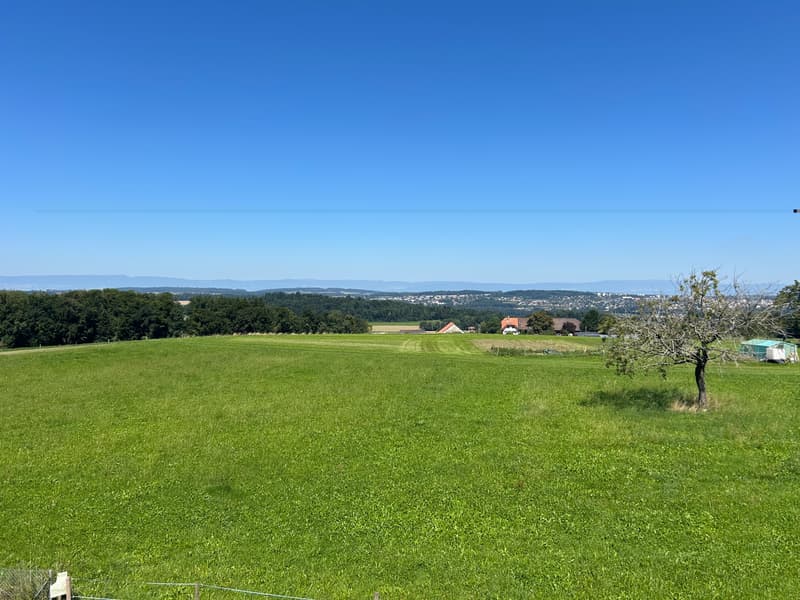 Vue dégagée