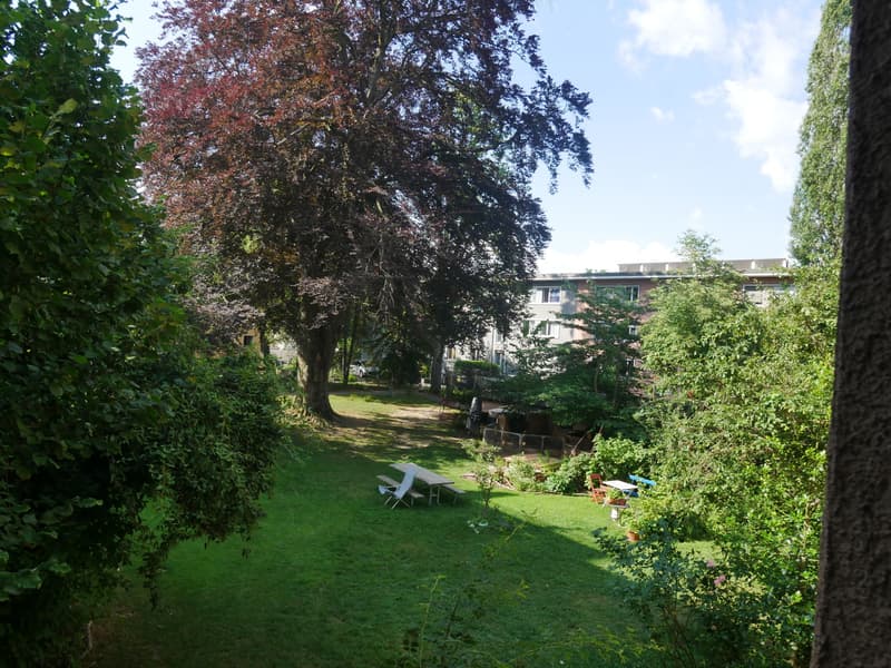Vue sur parc