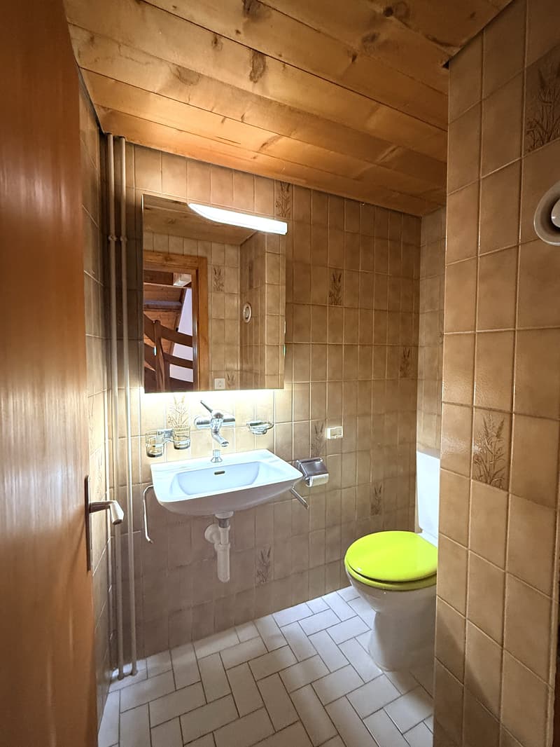 FRIBOURG - PLACE DU PETIT-ST-JEAN 39 - CHARMANT APPARTEMENT - 4.5 (9)