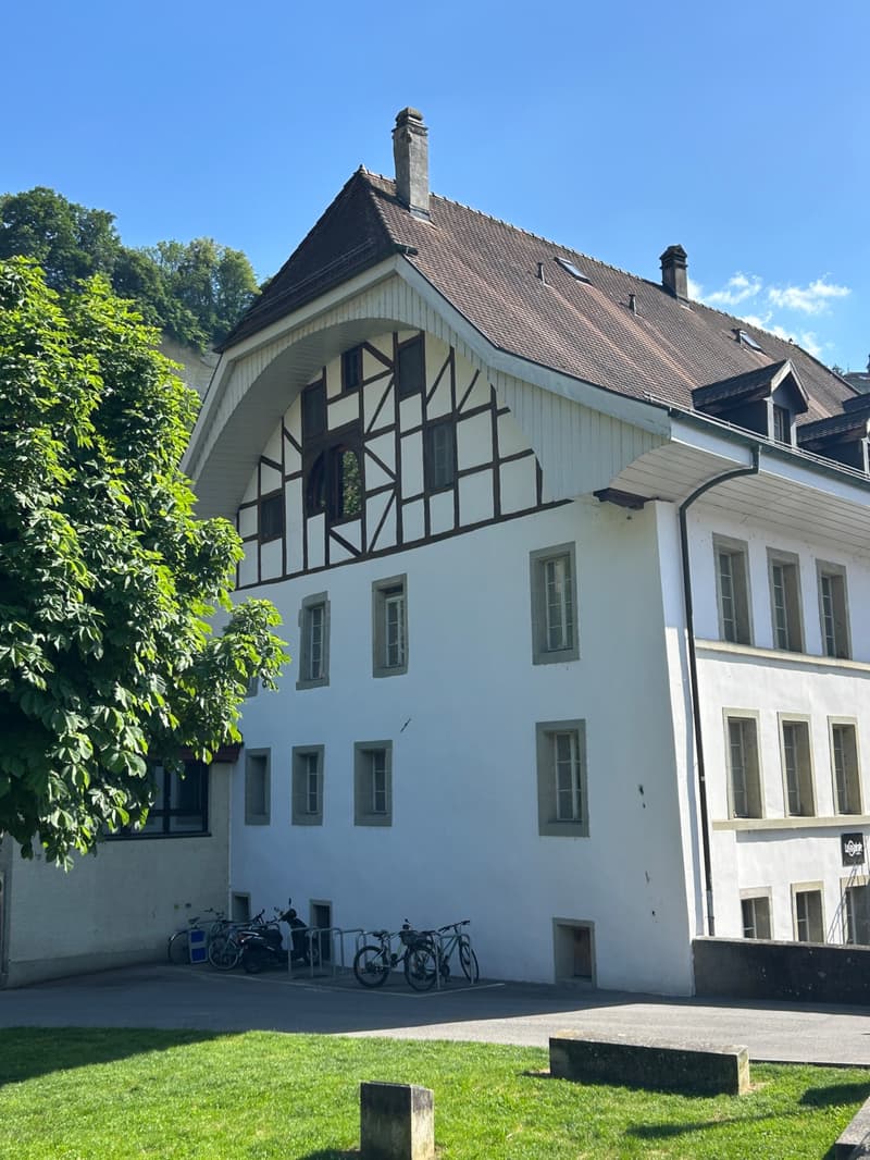 FRIBOURG - PLACE DU PETIT-ST-JEAN 39 - CHARMANT APPARTEMENT - 4.5 (13)