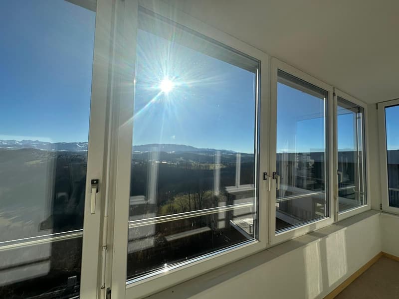 VILLARS-SUR-GLANE - RTE DE LA GLANE 109 - CHARMANT APPARTEMENT 4.5 (7)