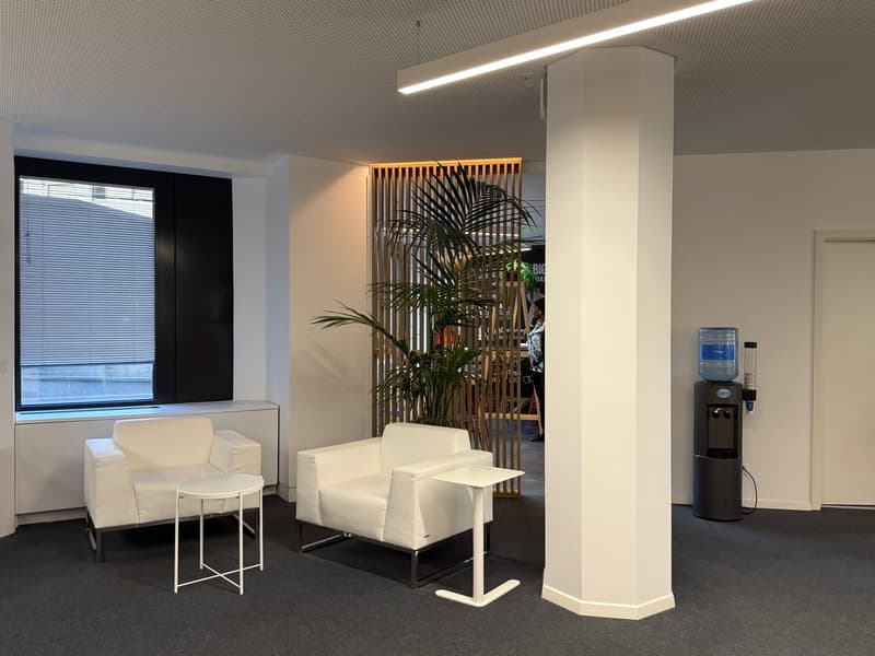 Magnifique espace de bureaux de 354 m² aux Eaux-Vives (6)