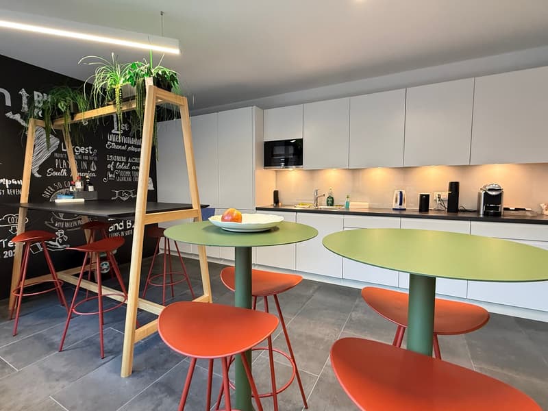 Magnifique espace de bureaux de 354 m² aux Eaux-Vives (9)