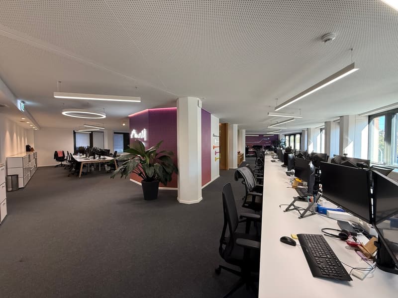 Magnifique espace de bureaux de 354 m² aux Eaux-Vives (5)