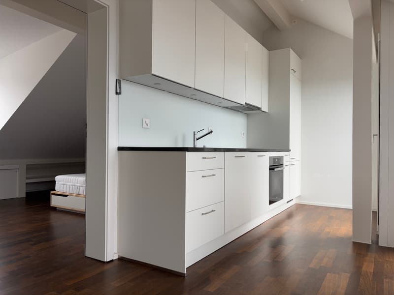 Magnifique appartement en attique moderne avec balcon - Sous gare - Vue sur le lac et ville (1)