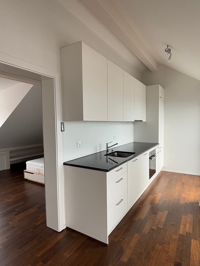 Magnifique appartement en attique moderne avec balcon - Sous gare - Vue sur le lac et ville (2)