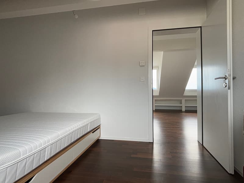Magnifique appartement en attique moderne avec balcon - Sous gare - Vue sur le lac et ville (9)
