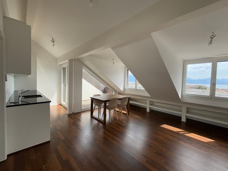 Magnifique appartement en attique moderne avec balcon - Sous gare - Vue sur le lac et ville (7)