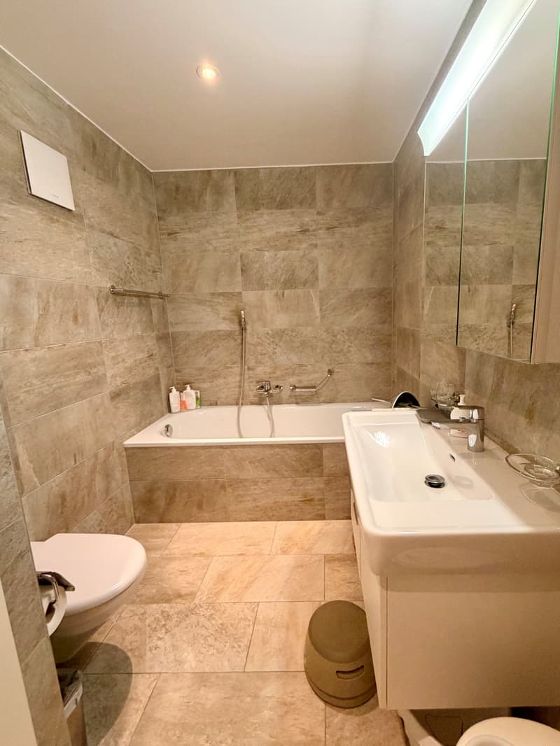 Magnifique appartement duplex (3)