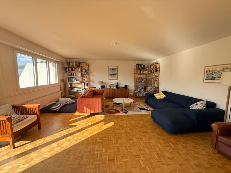Magnifique appartement en attique de 7 pièces avec vue lac (5)