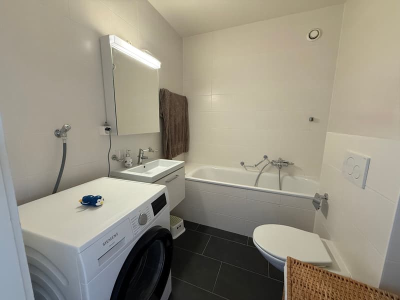 Magnifique appartement en attique de 7 pièces avec vue lac (9)